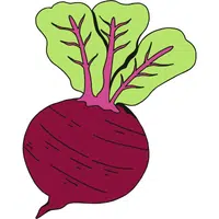 Beetroot