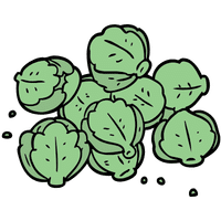 Bell Pepper