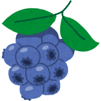 Bilberry