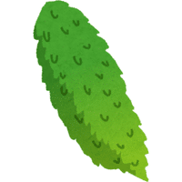 Bitter Gourd