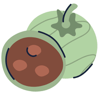 Black Sapote