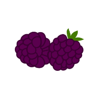 Blackberry | Sugar Free Fruits Names