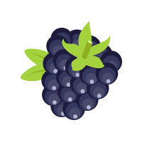 Blackberry