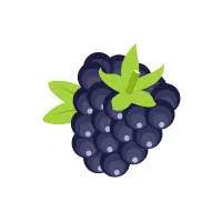 Blackberry