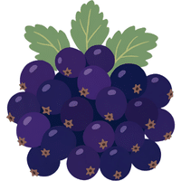 Blackcurrant