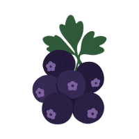 Blackcurrant