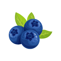 Blueberry