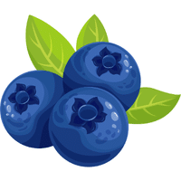 Blueberry