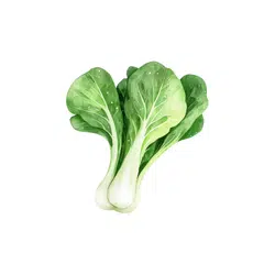Bok Choy
