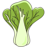 Bok Choy