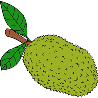 Breadfruit