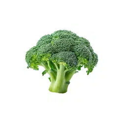 Broccoli | Temperate Vegetables Names in English