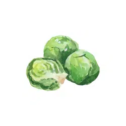Brussels Sprouts