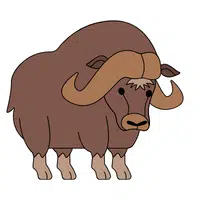 Buffalo