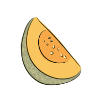 Cantaloupe