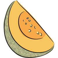 Cantaloupe