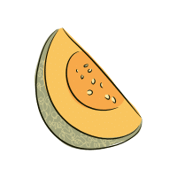 Cantaloupe