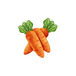 Carrot | Temperate Vegetables Names in English