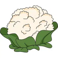 Cauliflower