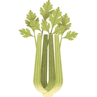 Celery