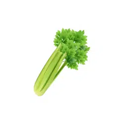 Celery | Temperate Vegetables Names in English