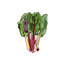 Chard | Temperate Vegetables Names in English