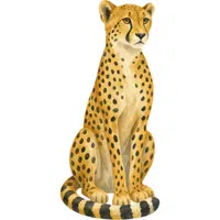 Cheetah