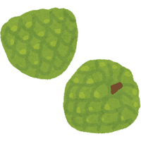 Cherimoya