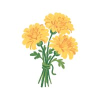 Chrysanthemum