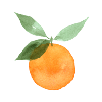 Cantaloupe