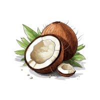 Coconut | Sugar Free Fruits Names