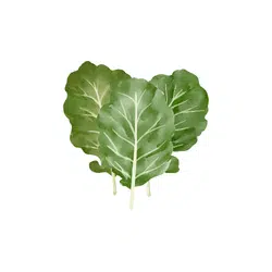 Collard Greens