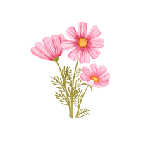 Cosmos