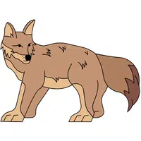 Coyote