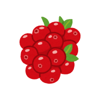 Cranberry | Sugar Free Fruits Names