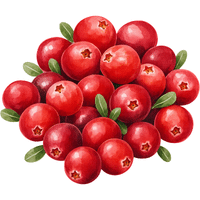 Cranberry