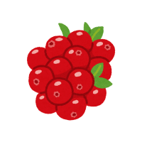 Cranberry