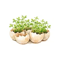 Cress | Temperate Vegetables Names in English