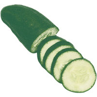Cucumber