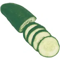 Cucumber