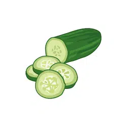 Cucumber | Temperate Vegetables Names in English