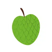 Custard Apple