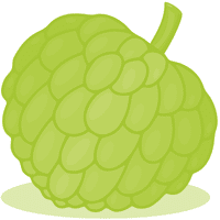Custard Apple