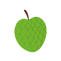Custard Apple