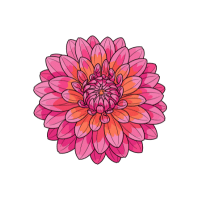 Dahlia