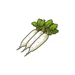 Daikon | Temperate Vegetables Names in English