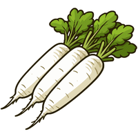 Daikon