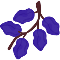 Damson