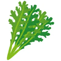 Dandelion Greens