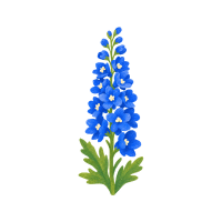 Delphinium